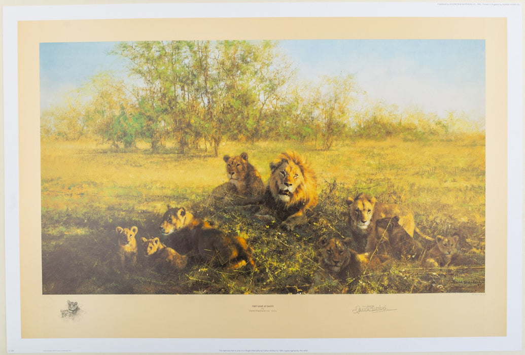 DAVID SHEPHERD, 'FIRST LIGHT AT SAVUTI', LIMITED EDITION LIONS PRINT, SIGNED