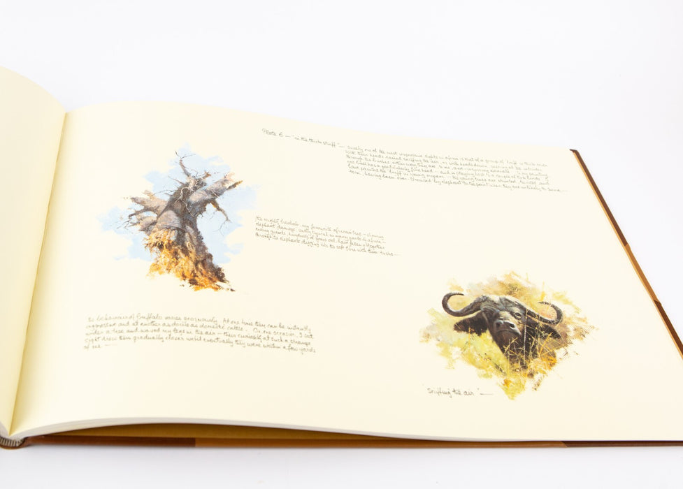 DAVID SHEPHERD, 'PAINTINGS OF AFRICA & INDIA', LIMITED EDITION ART FOLIO, SIGNED