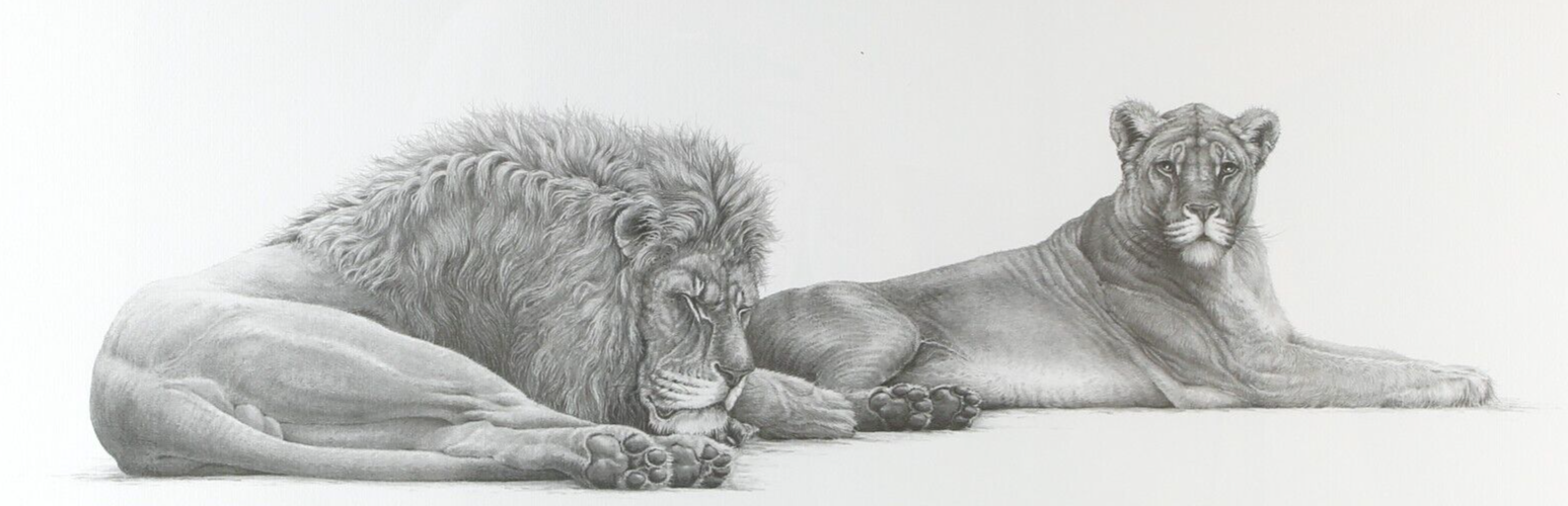 GARY HODGES 'SAVANNAH, LION & LIONESS' LIMITED EDITION PRINT 1116/1250, SIGNED