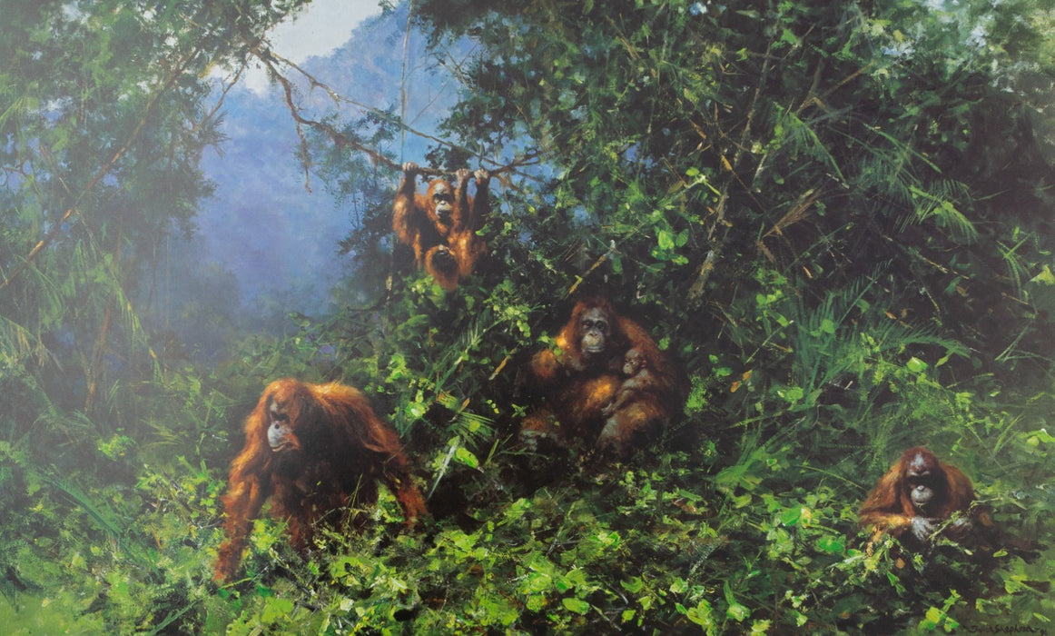 DAVID SHEPHERD 'MEN OF THE WOODS' LIMITED EDITION ORANGUTANS PRINT, SIGNED