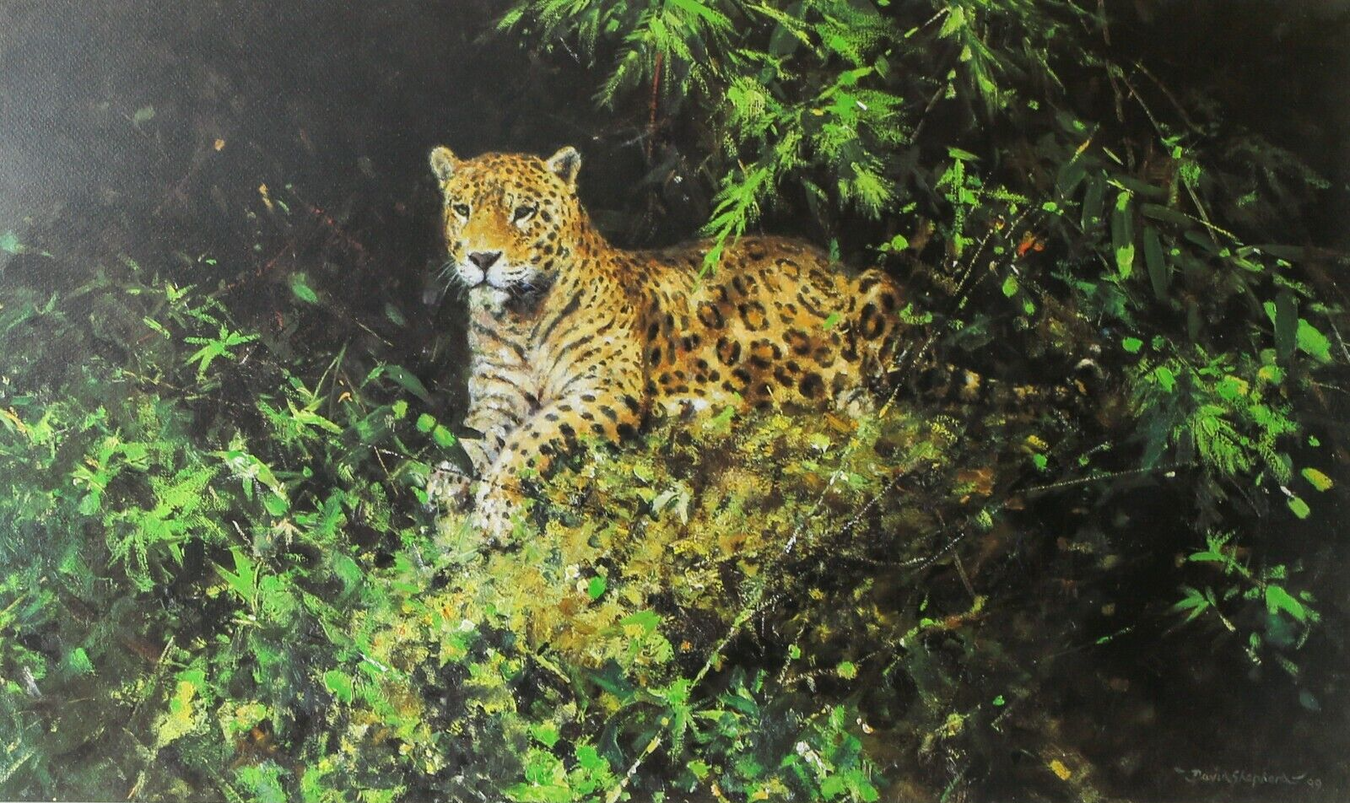 Jaguar