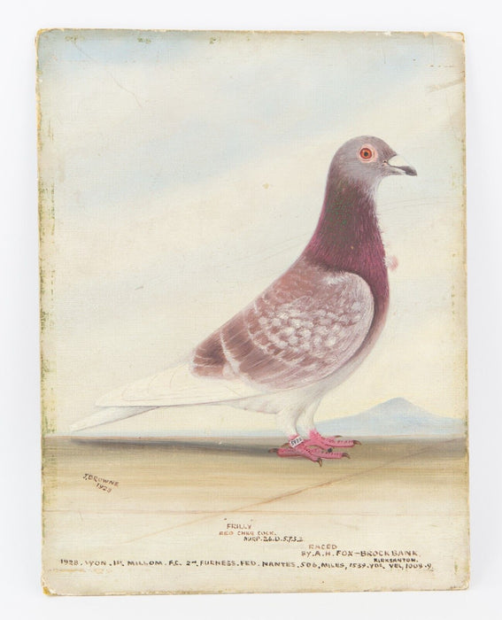 J BROWNE - FRILLY & SNOW FLAKE, 1928, RACING PIGEON OIL PAINTING STUDIES, SIGNED