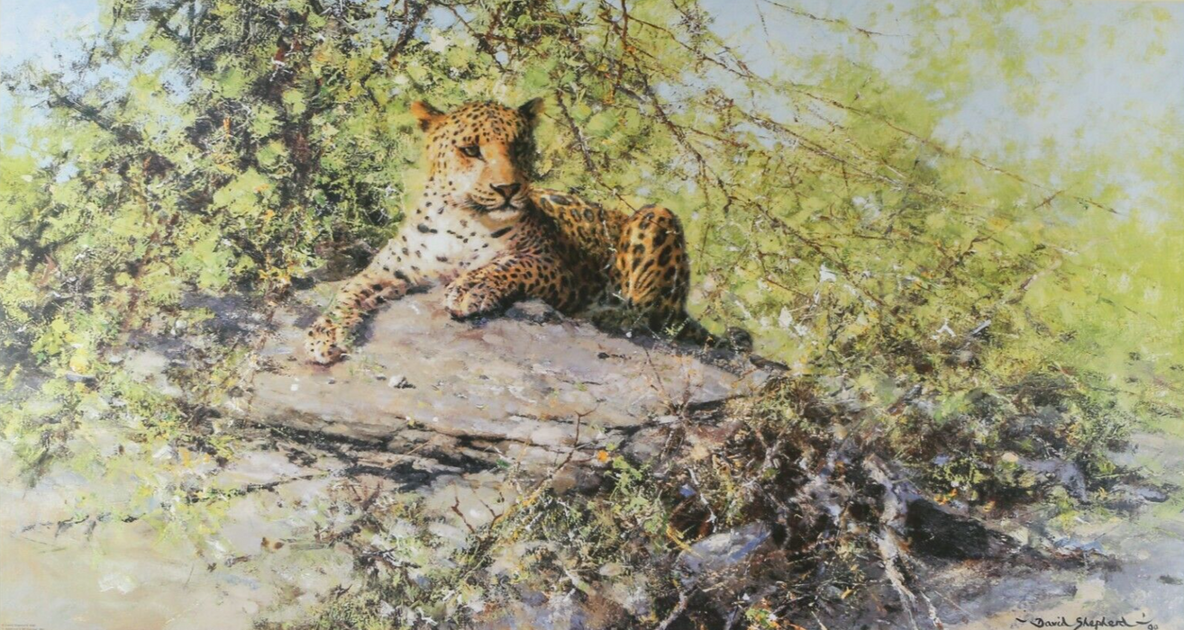 DAVID SHEPHERD 'THE SENTINEL' LIMITED EDITION LEOPARD PRINT 997/1500, SIGNED