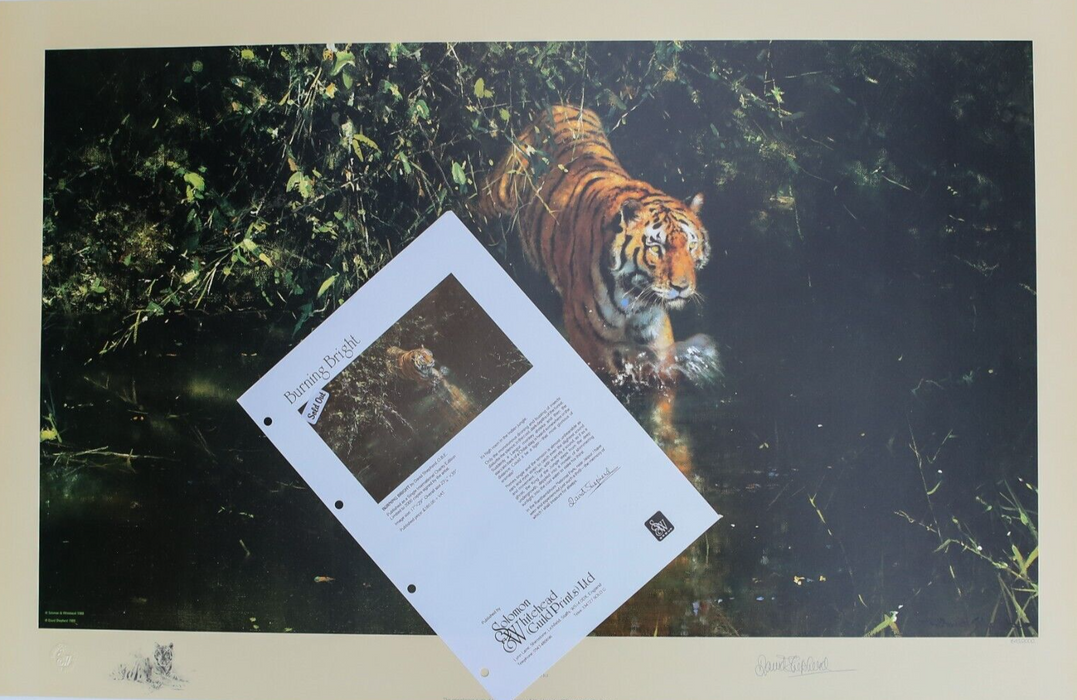 DAVID SHEPHERD 'BURNING BRIGHT' LIMITED EDITION TIGER PRINT 1643/2000, SIGNED