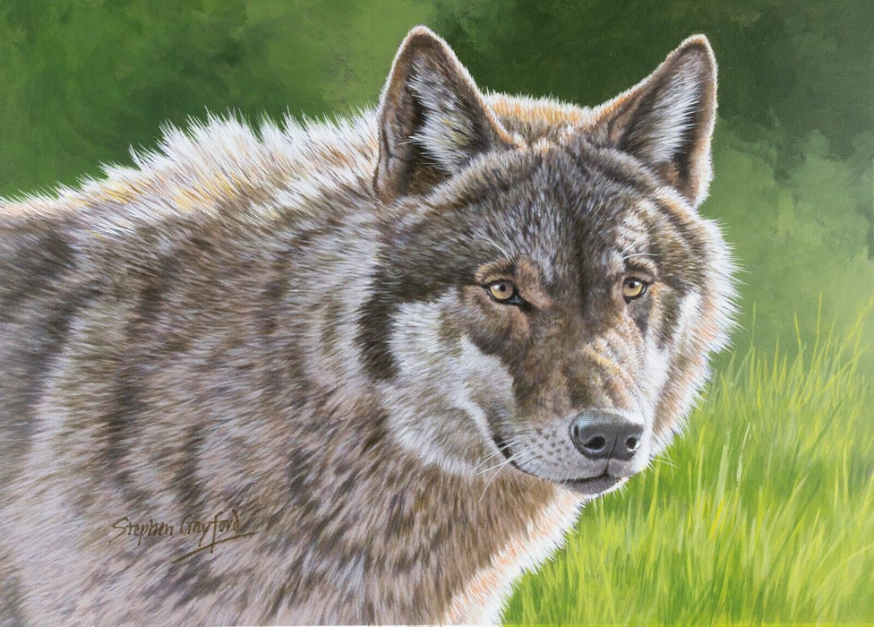 STEPHEN GAYFORD, THE WOLF, ANIMAL STUDY, ORIGINAL ACRYLIC PAINTING, SIGNED