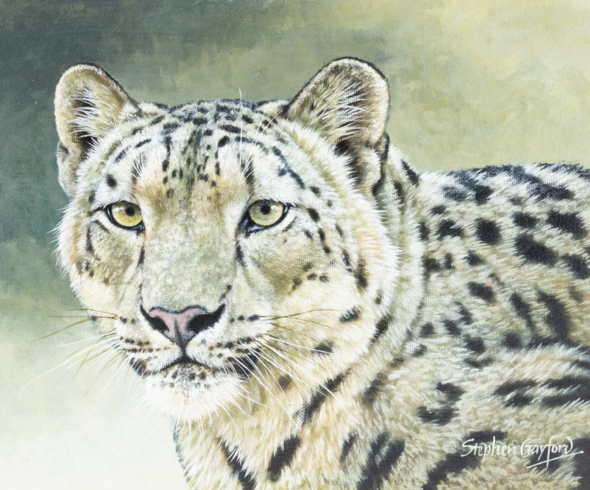 STEPHEN GAYFORD 'HIMALAYAN SPIRIT' SNOW LEOPARD ORIGINAL ACRYLIC PAINTING SIGNED