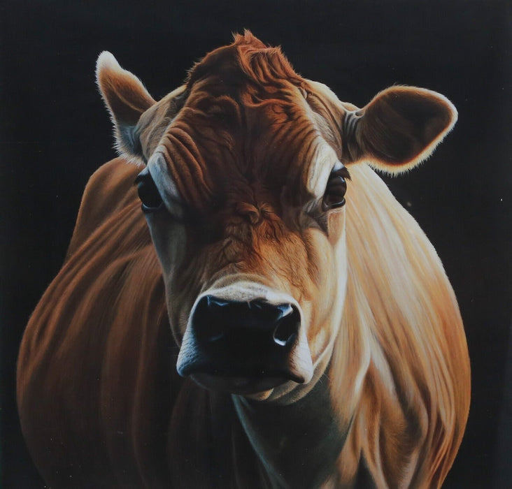 PAUL JAMES 'POSH' COW STUDY, LARGE LIMITED EDITION PRINT 76/295, SIGNED & COA