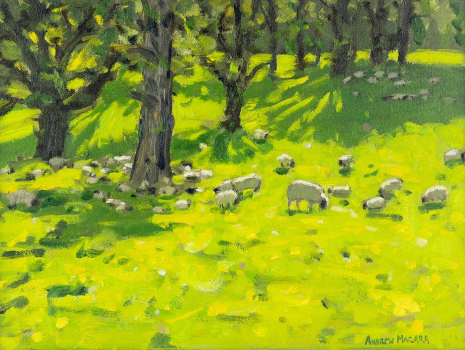 ANDREW MACARA NEAC, 'OSMASTON', 2011 SHEEP STUDY, ORIGINAL OIL PAINTING, SIGNED