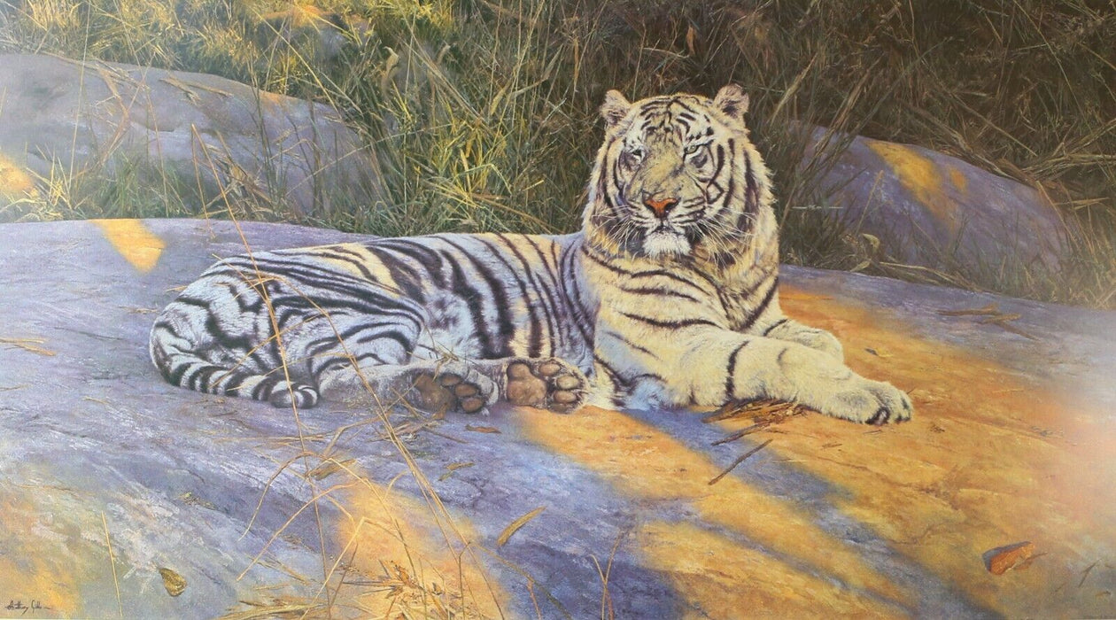 ANTHONY GIBBS, 'THE GREAT WHITE TIGER', LIMITED EDITION PRINT, SIGNED