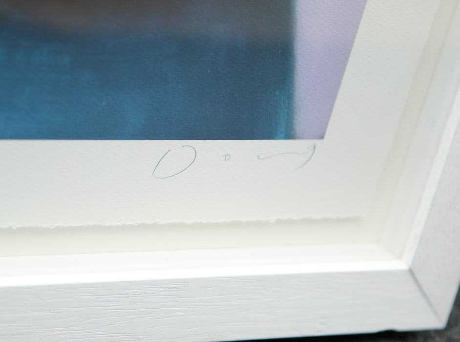 DOUG HYDE, 'POPTASTIC', LIMITED EDITION COLOUR GICLEE DOG PRINT 68/395, SIGNED