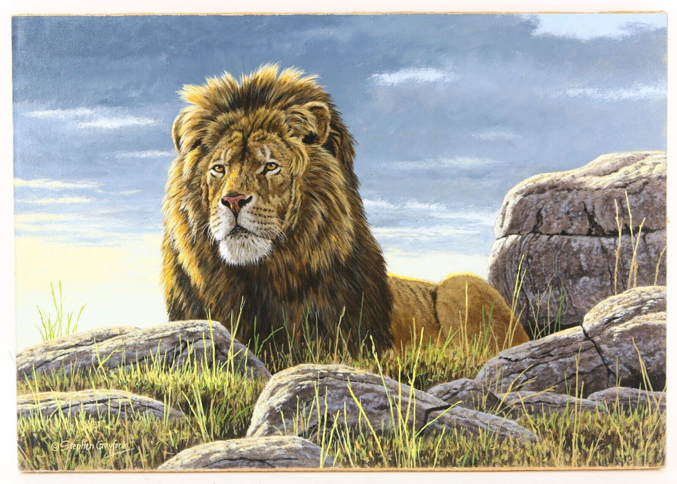 STEPHEN GAYFORD, 'SERENGETI DAWN', LION STUDY, ORIGINAL ACRYLIC PAINTING, SIGNED