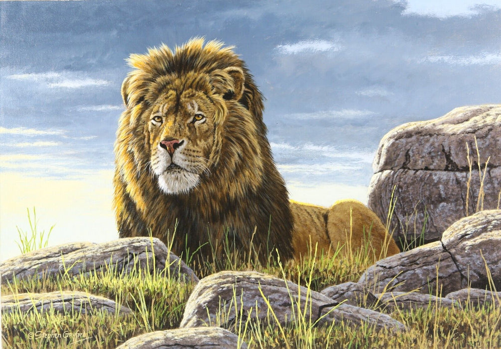 STEPHEN GAYFORD, 'SERENGETI DAWN', LION STUDY, ORIGINAL ACRYLIC PAINTING, SIGNED