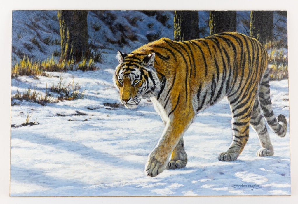 STEPHEN GAYFORD, 'BOARDER CONTROL', TIGER STUDY ORIGINAL ACRYLIC PAINTING SIGNED