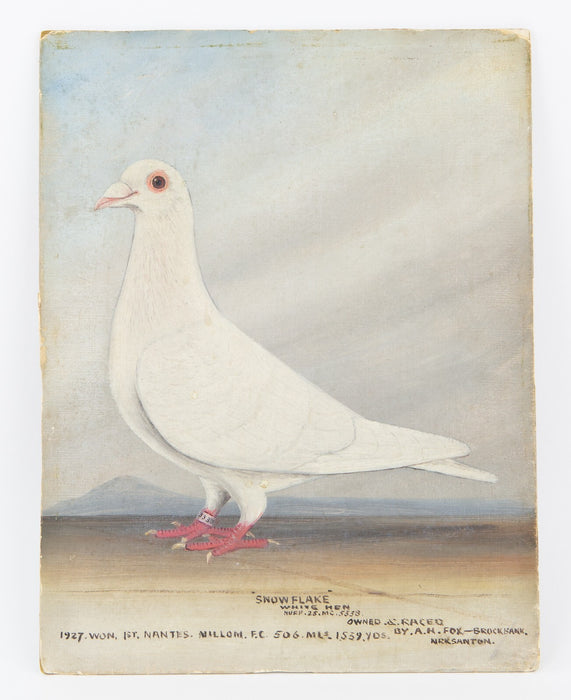 J BROWNE - FRILLY & SNOW FLAKE, 1928, RACING PIGEON OIL PAINTING STUDIES, SIGNED