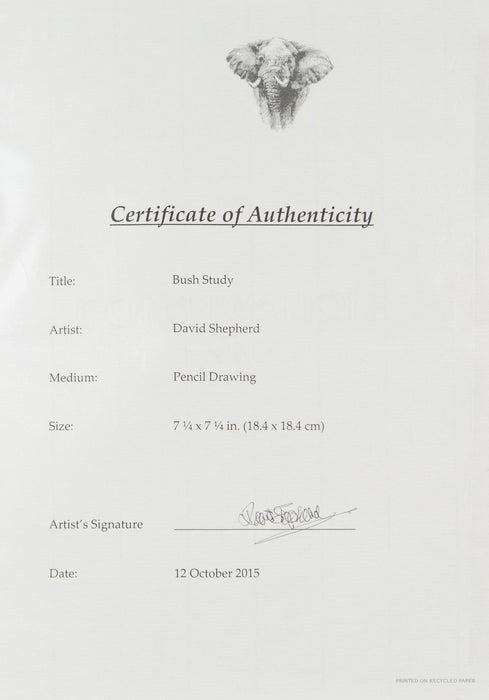 DAVID SHEPHERD, 'BUSH STUDY', ORIGINAL PENCIL DRAWING SKETCH & COA