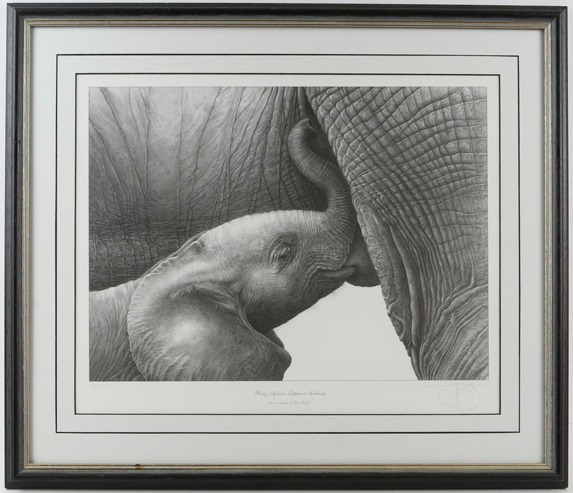GARY HODGES, 'BABY AFRICAN ELEPHANT SUCKLING', LIMITED EDITION PRINT, SIGNED