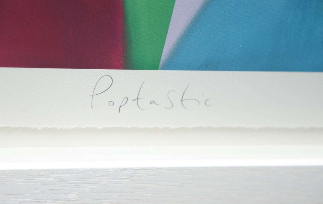 DOUG HYDE, 'POPTASTIC', LIMITED EDITION COLOUR GICLEE DOG PRINT 68/395, SIGNED