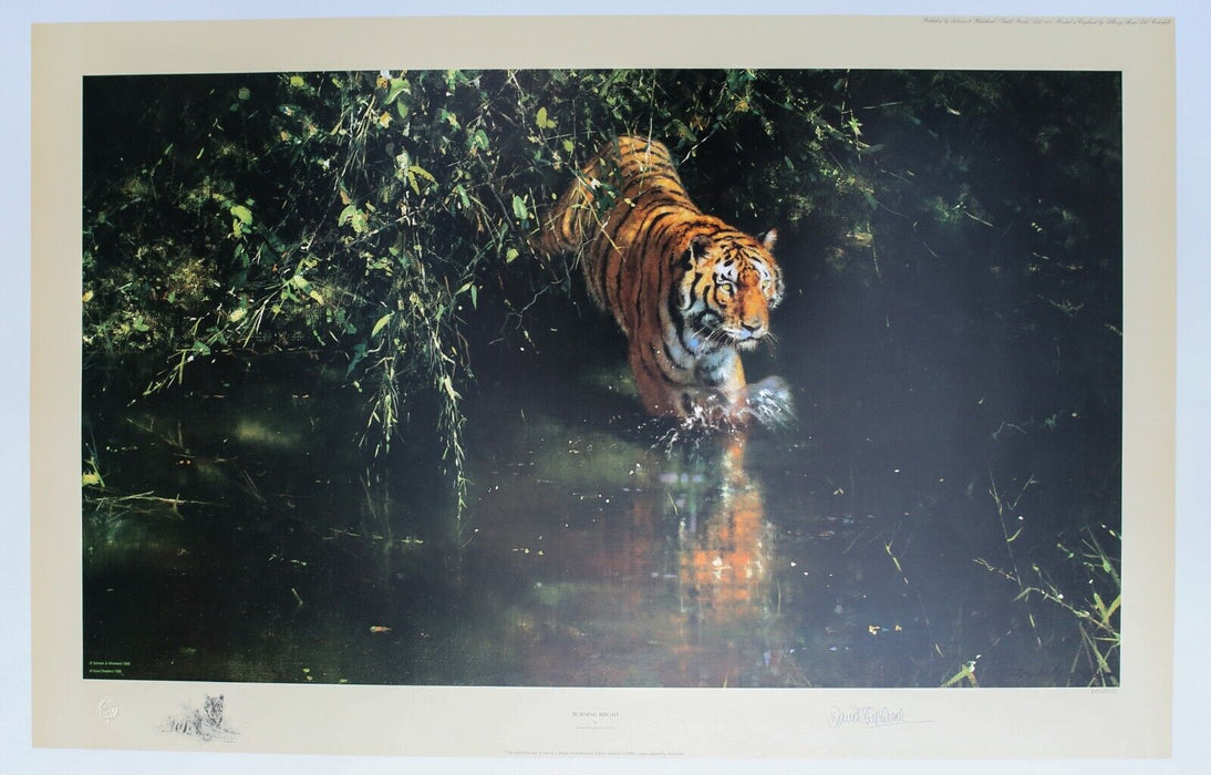 DAVID SHEPHERD 'BURNING BRIGHT' LIMITED EDITION TIGER PRINT 1643/2000, SIGNED