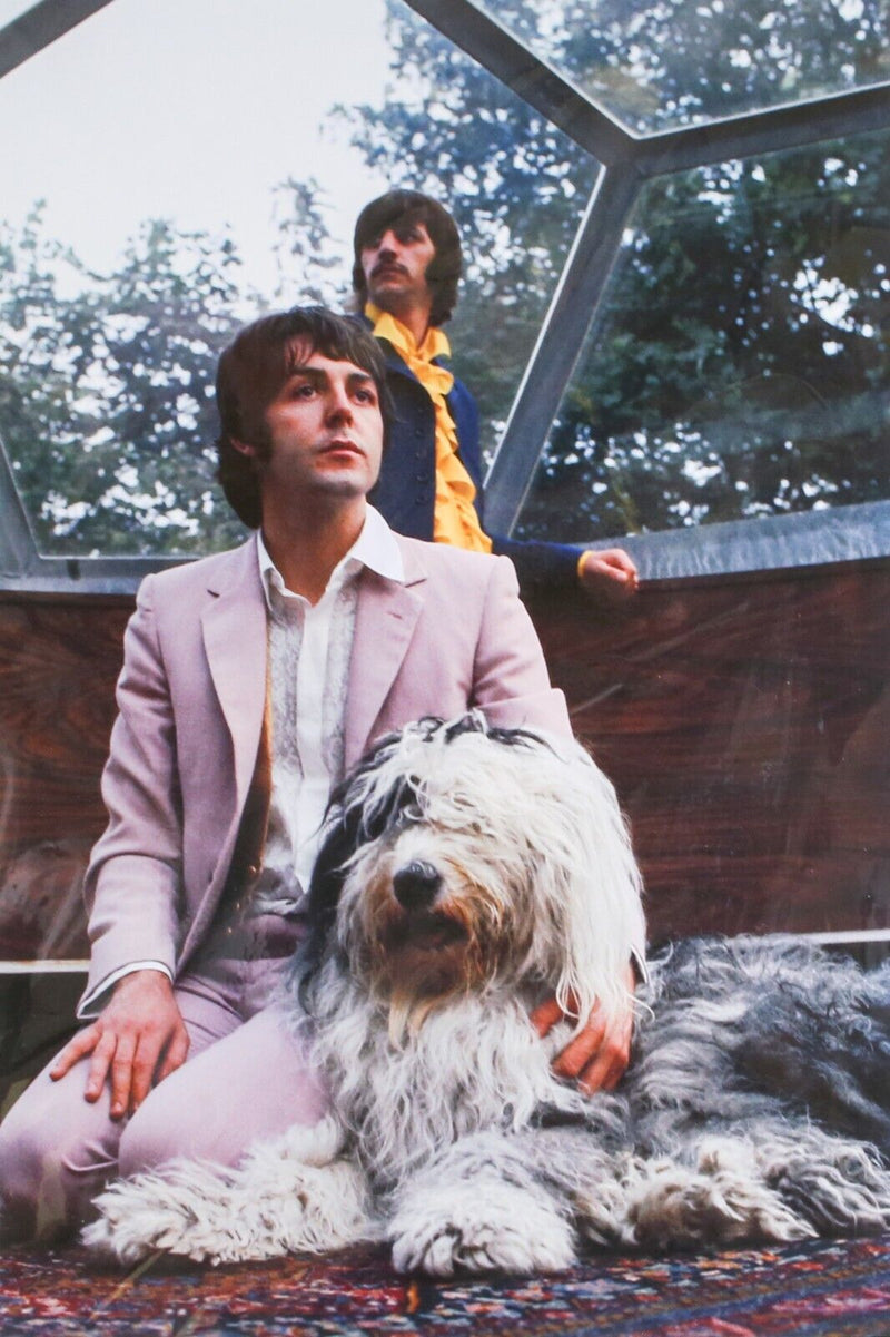 TOM MURRAY, 'MARTHA MY DEAR', LIMITED EDITION BEATLES PAUL & RINGO PRINT, SIGNED