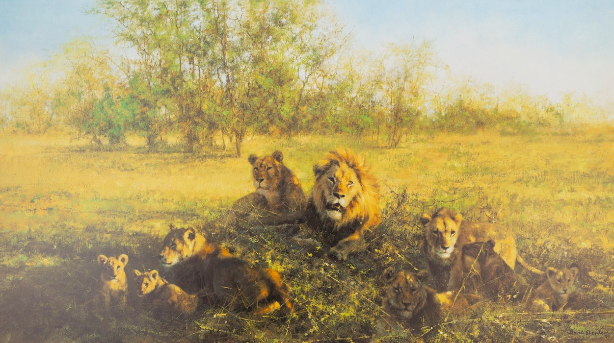 DAVID SHEPHERD, 'FIRST LIGHT AT SAVUTI', LIMITED EDITION LIONS PRINT, SIGNED