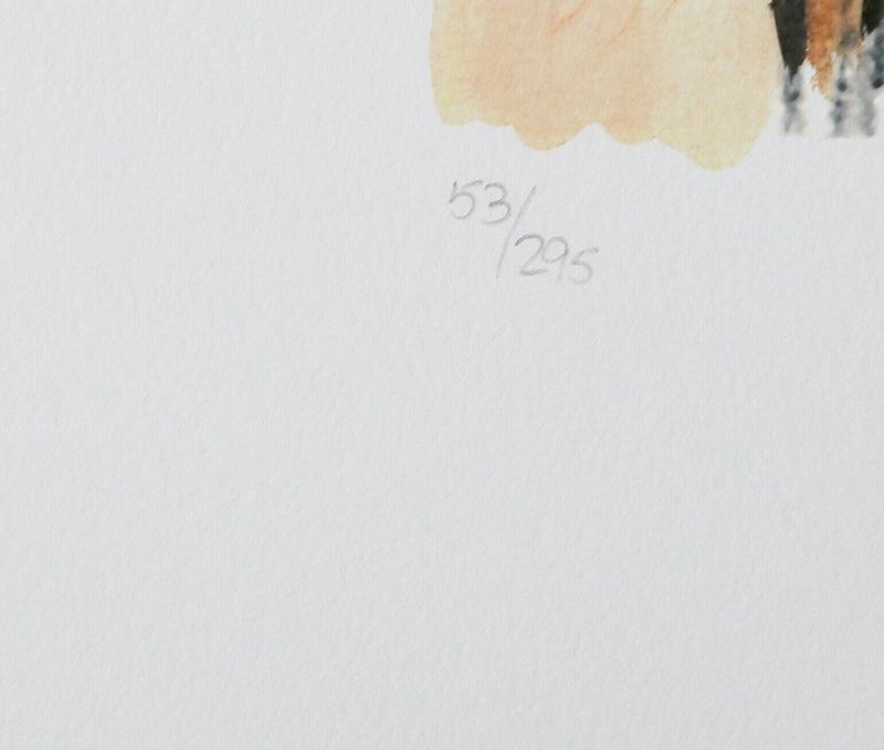 BOB DYLAN 'MAN ON A BRIDGE' LIMITED EDITION DRAWN BLANK SERIES PRINT 2008 SIGNED