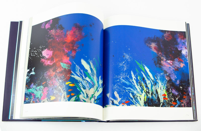 DUNCAN MACGREGOR 'MAKING WAVES' LIMITED EDITION PAINTING PRINT BOOK 320/595 COA
