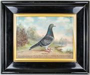 collectables