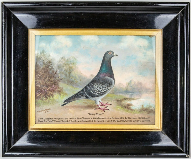 collectables