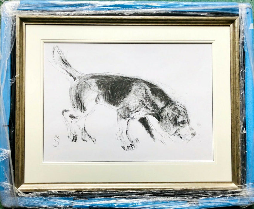 § APRIL SHEPHERD (BRITISH, C20th) -FOUND THE SCENT- BEAGLE DOG HOUND STUDY, DRAWING, SIGNED