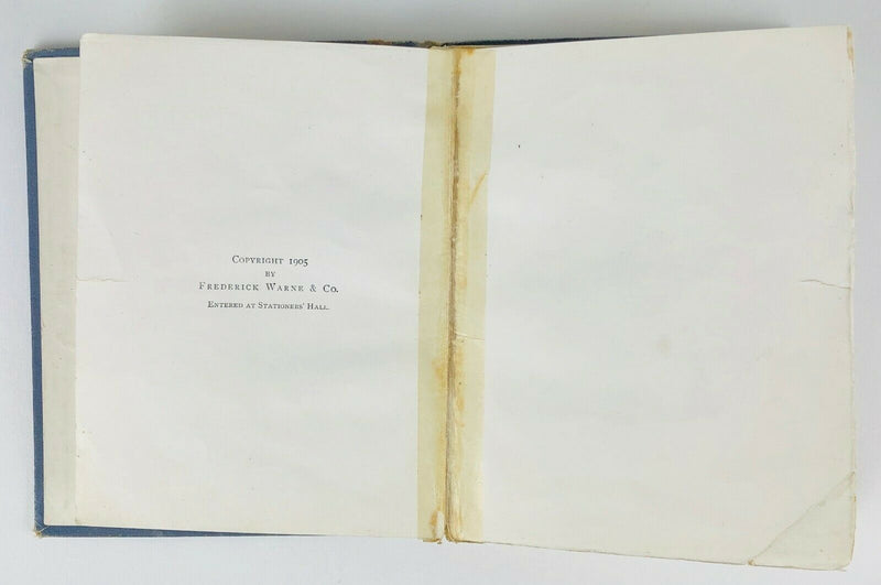 BEATRIX POTTER -TALE OF MRS TIGGY WINKLE- FIRST EDITION, DELUXE, FREDERICK WARNE & Co. 1905
