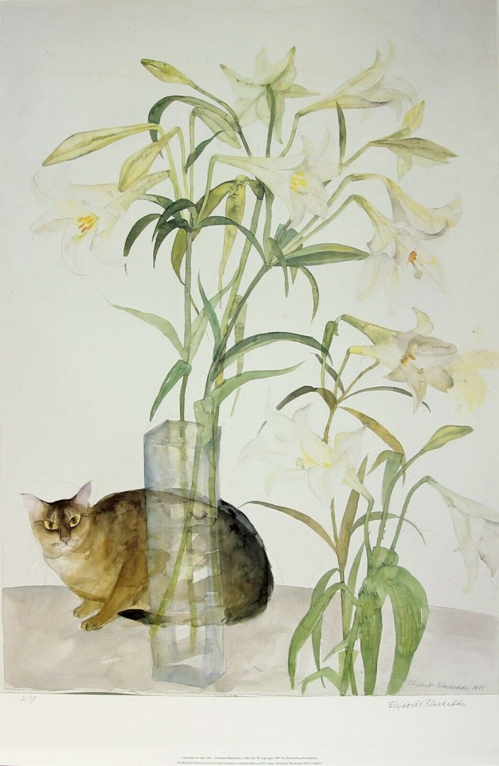 DAME ELIZABETH BLACKADDER, 'ABYSSINIAN CAT &amp; LILLIES', LIMITED EDITION PRINT, SIGNED