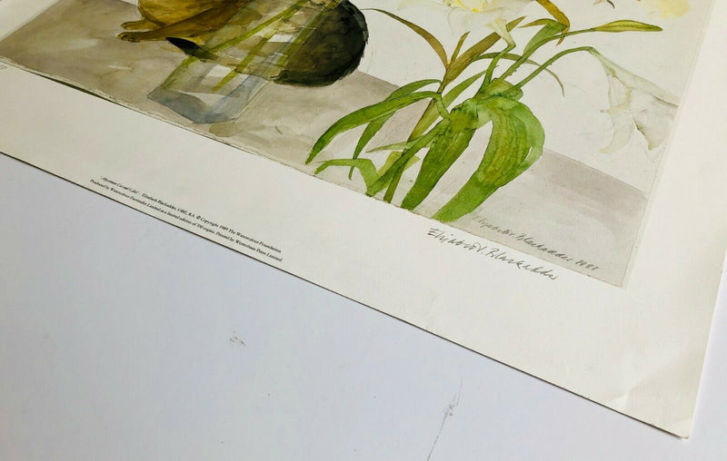 DAME ELIZABETH BLACKADDER, 'ABYSSINIAN CAT &amp; LILLIES', LIMITED EDITION PRINT, SIGNED