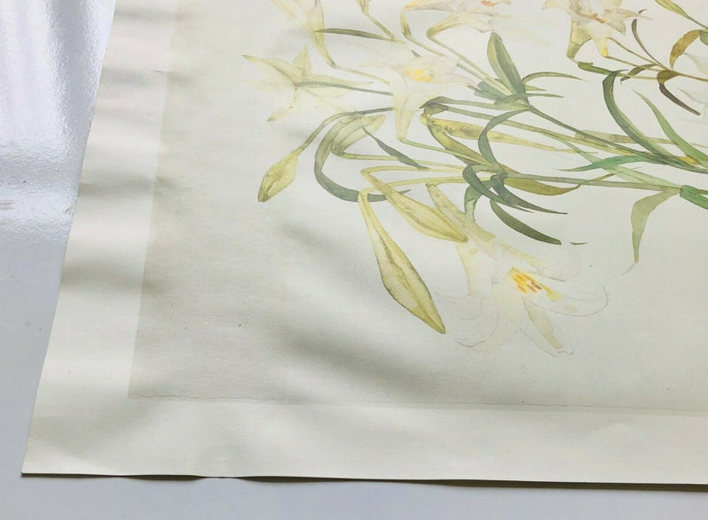 DAME ELIZABETH BLACKADDER, 'ABYSSINIAN CAT &amp; LILLIES', LIMITED EDITION PRINT, SIGNED