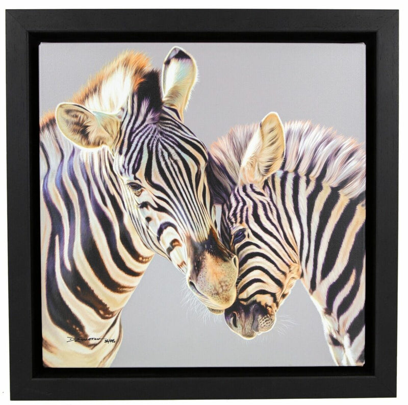 DARRYN EGGLETON (b.1981) -TENDER TOUCH- ZEBRAS LIMITED EDITION PRINT 36/195 & COA