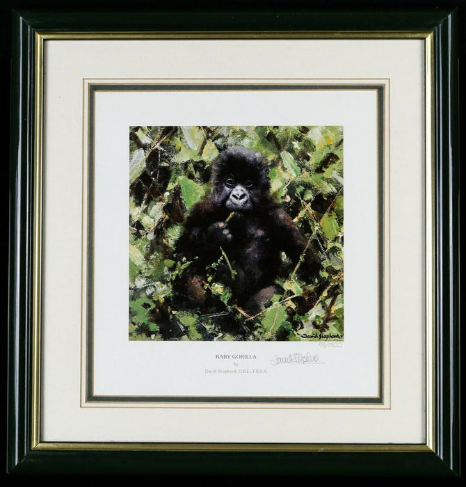 DAVID SHEPHERD (BRITISH, 1931-2017) -BABY GORILLA- LIMITED EDITION PRINT, SIGNED