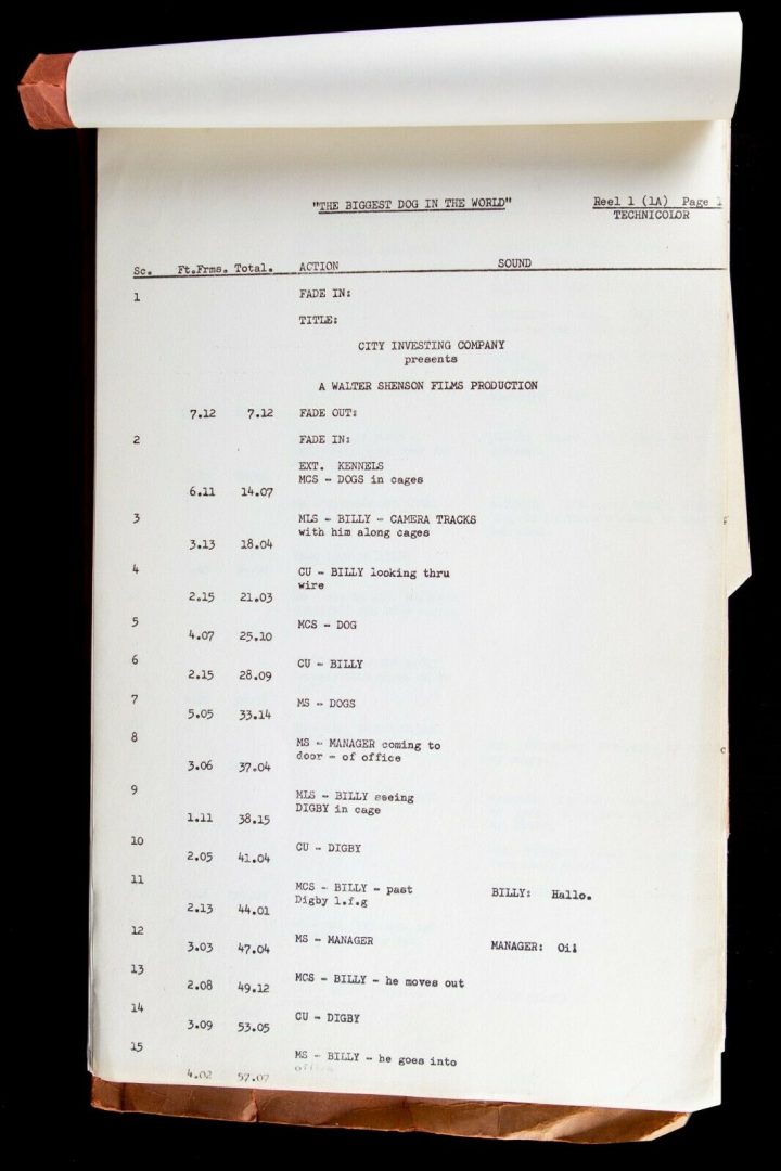 DIGBY, THE BIGGEST DOG IN THE WORLD (1973) - WALTER SHENSON FILMS MOVIE SCRIPT