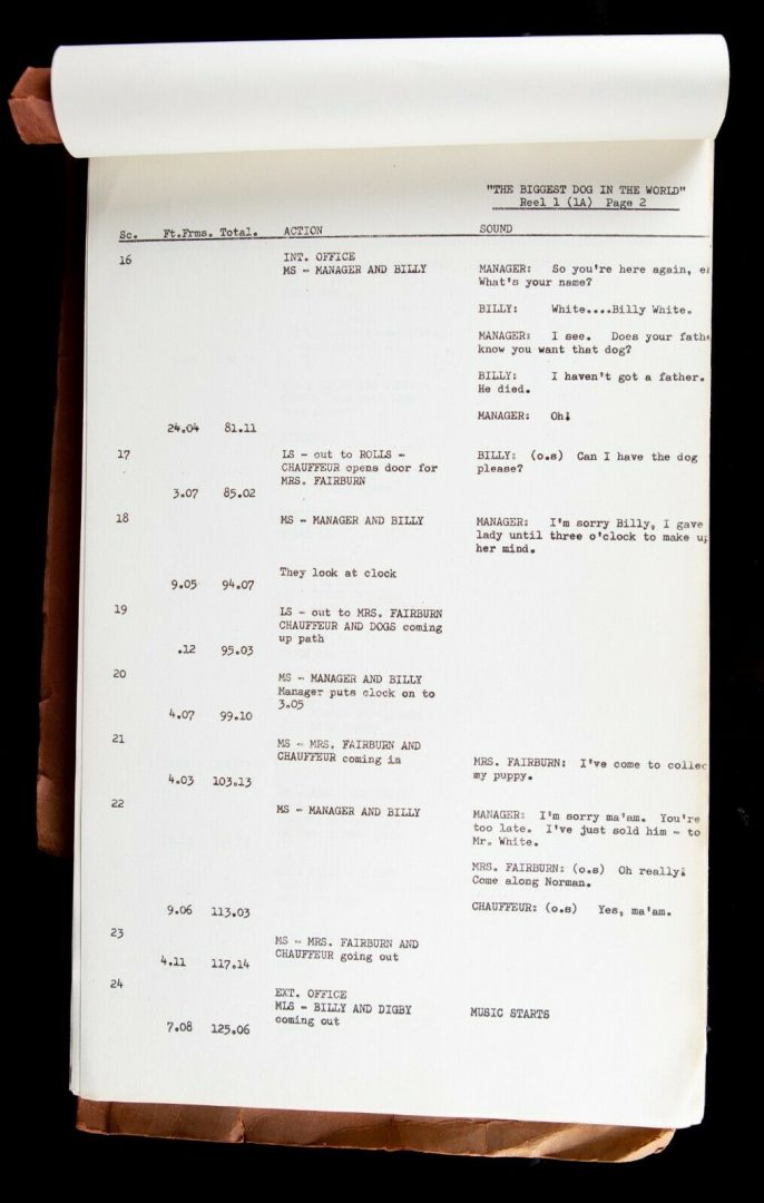 DIGBY, THE BIGGEST DOG IN THE WORLD (1973) - WALTER SHENSON FILMS MOVIE SCRIPT