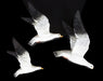 Beswick Seagulls