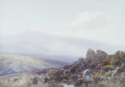 Frederick John Widgery