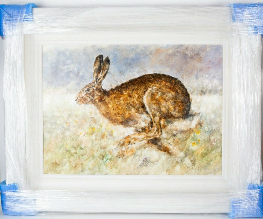 GARY BENFIELD (BRITISH, b.1965) -ACROSS THE MEADOW- HARE STUDY, ORIGINAL OIL ON CANVAS
