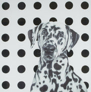 Hayley Goodhead spot dog