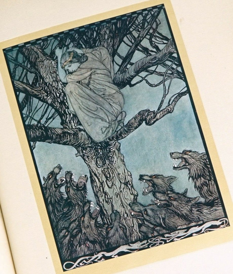 JAMES STEPHENS 'IRISH FAIRY TALES' 1920, ILLUSTRATED BY ARTHUR RACKHAM, SIGNED