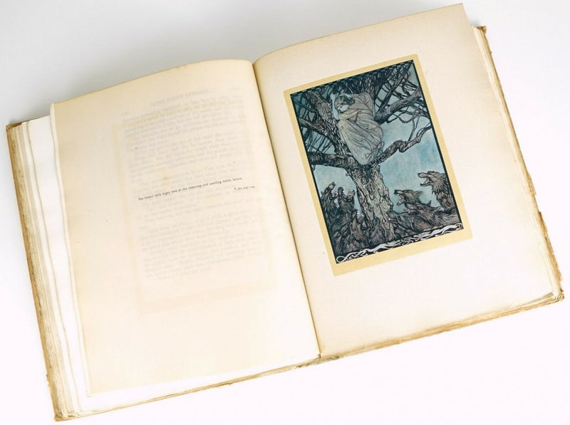 JAMES STEPHENS 'IRISH FAIRY TALES' 1920, ILLUSTRATED BY ARTHUR RACKHAM, SIGNED