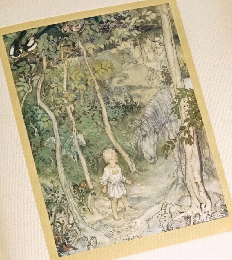 JAMES STEPHENS 'IRISH FAIRY TALES' 1920, ILLUSTRATED BY ARTHUR RACKHAM, SIGNED