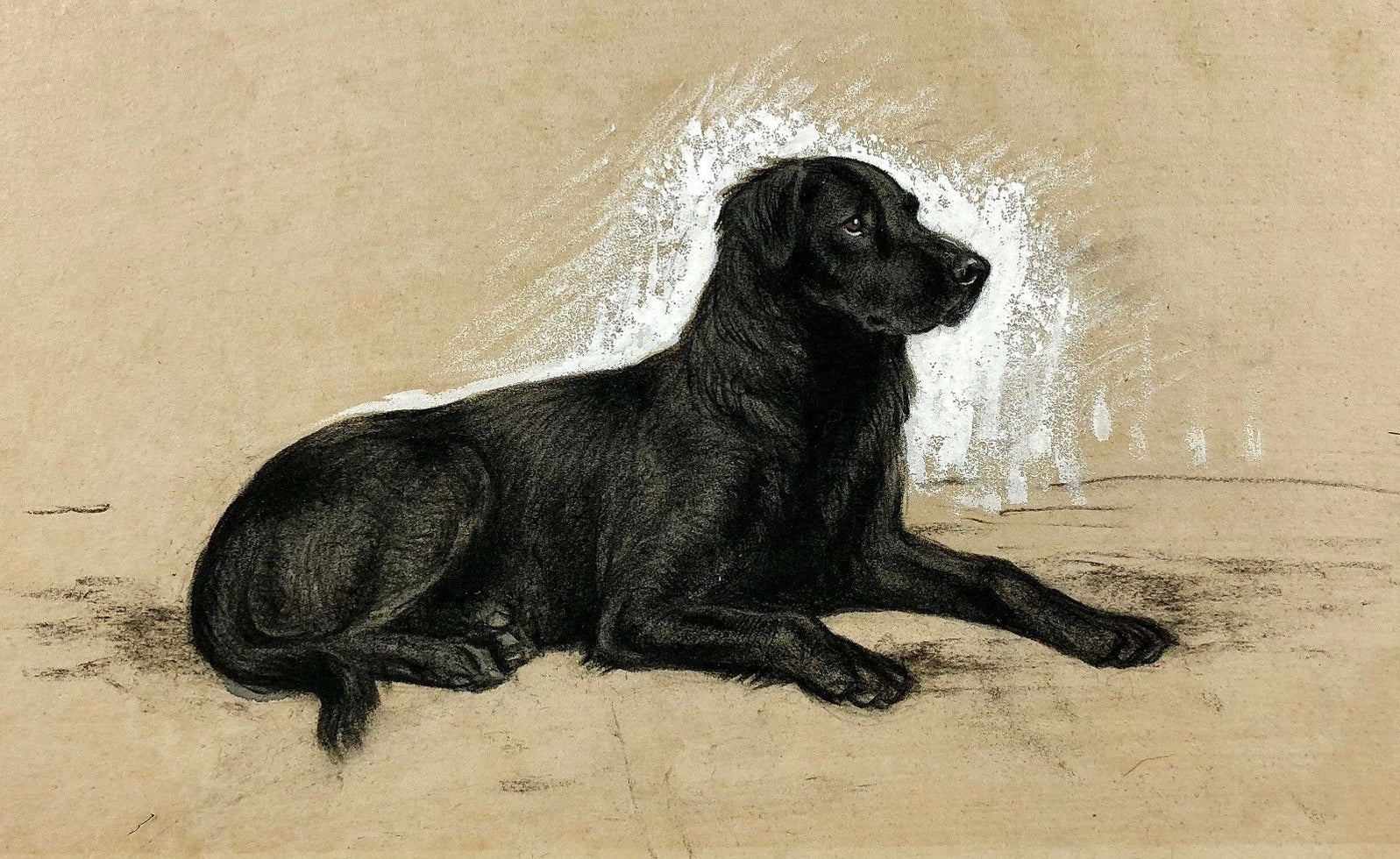 Lucy Vere Temple (1898-1980) -Broughton Dan- Labrador Retriever ...