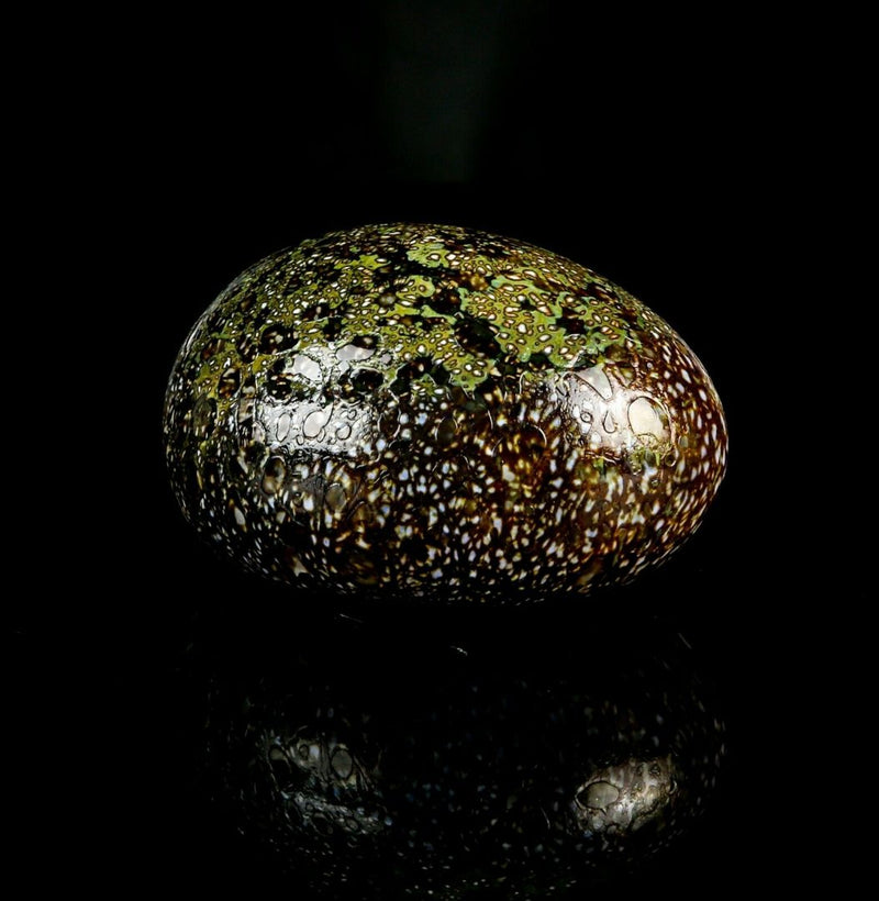 OIVA TOIKKA for IITTALA - SCANDINAVIAN STUDIO ART GLASS DESIGN BIRD EGG, BOXED