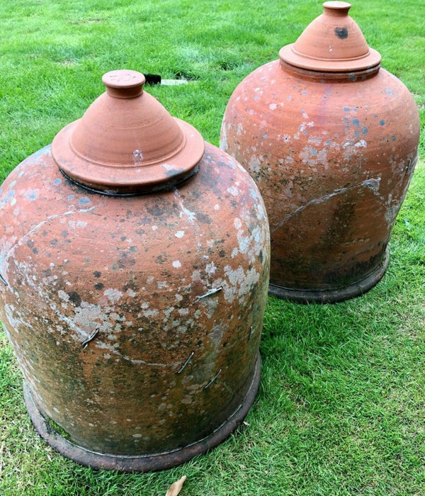 PAIR OF LARGE TERRACOTTA RHUBARB CLOCHE FORCERS WITH LIDS