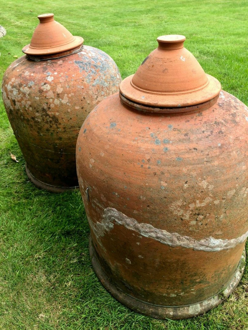 PAIR OF LARGE TERRACOTTA RHUBARB CLOCHE FORCERS WITH LIDS