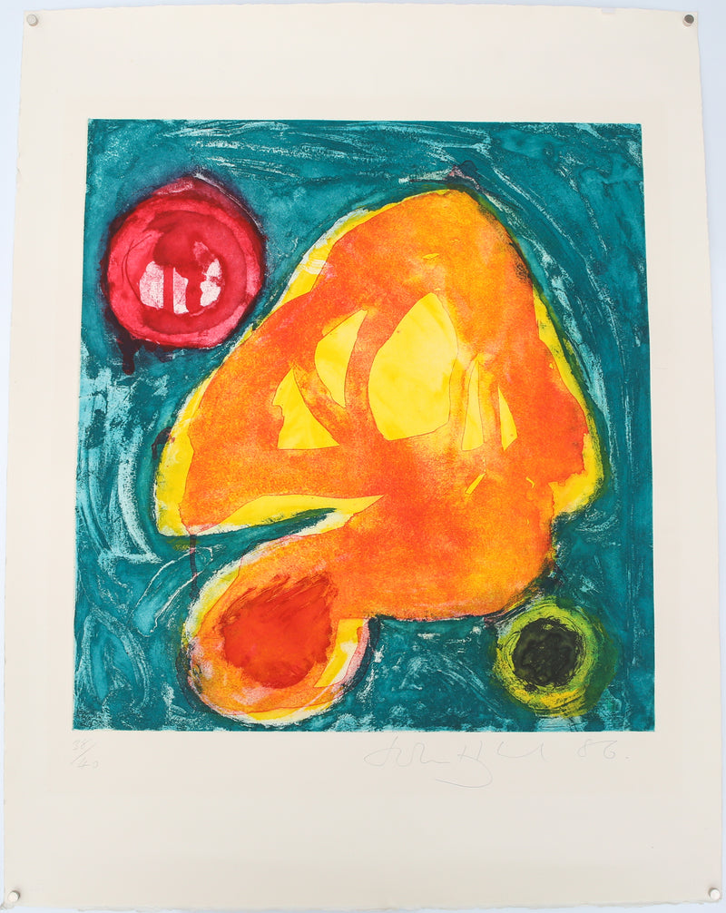 JOHN HOYLAND 'QUAS' LIMITED EDITION ETCHING PRINT 38/40, SIGNED