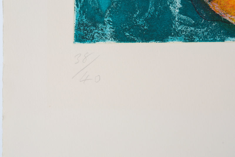 JOHN HOYLAND 'QUAS' LIMITED EDITION ETCHING PRINT 38/40, SIGNED
